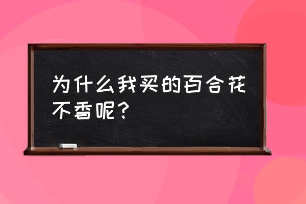 香水百合不香怎么回事 为什么我买的百合花不香呢？