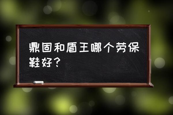 防水劳保鞋哪个牌子好 鼎固和盾王哪个劳保鞋好？