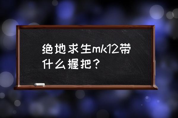 绝地求生到底什么握把好 绝地求生mk12带什么握把？