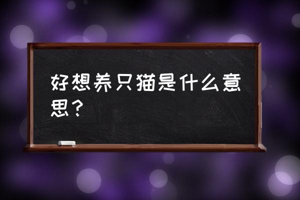 我想养一只猫是什么意思 好想养只猫是什么意思？