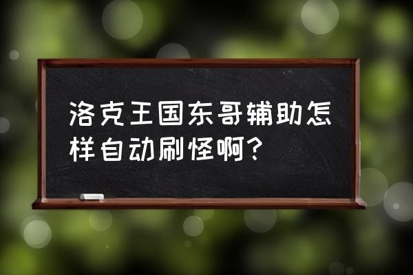 洛克王国东哥辅助怎么刷级快下 洛克王国东哥辅助怎样自动刷怪啊？