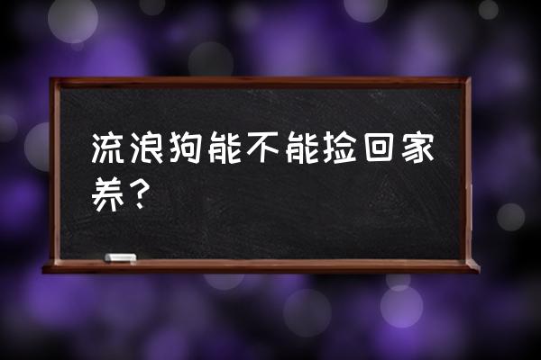 流浪狗可以直接带回家吗 流浪狗能不能捡回家养？