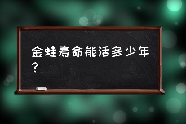 小金蛙能长到多大寿命 金蛙寿命能活多少年？