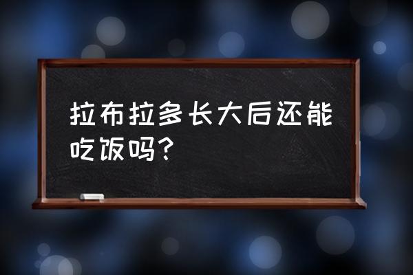 拉布拉多长大了 拉布拉多长大后还能吃饭吗？