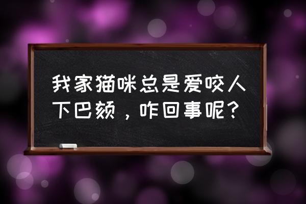 为什么猫喜欢咬下巴 我家猫咪总是爱咬人下巴颏，咋回事呢？