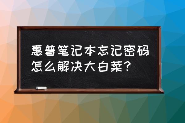 hp笔记本电脑开机密码忘了怎么办 惠普笔记本忘记密码怎么解决大白菜？