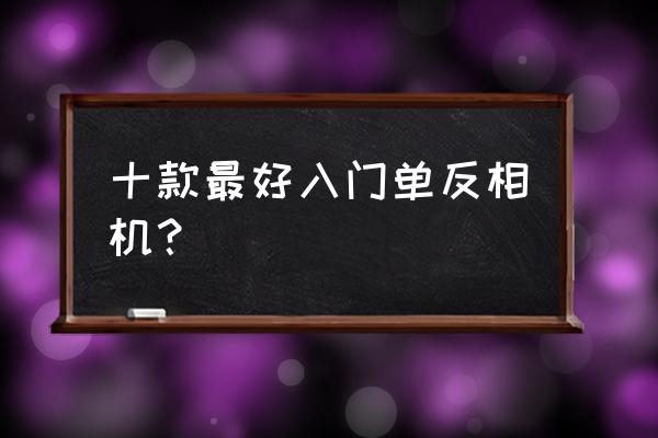 小白单反选哪个牌子 十款最好入门单反相机？