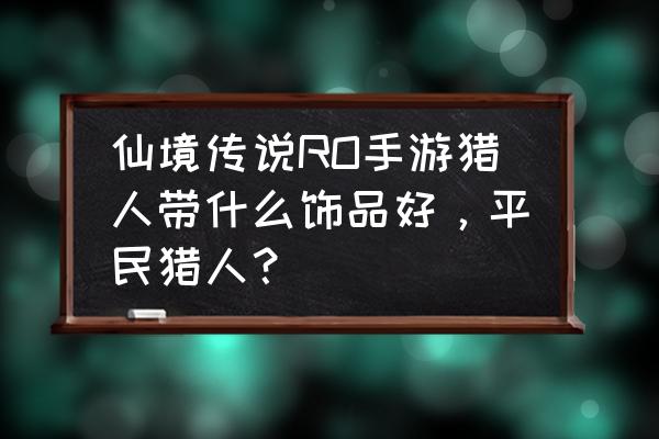 仙境传说饰品怎么存入 仙境传说RO手游猎人带什么饰品好，平民猎人？