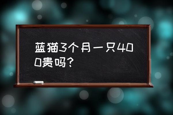 英短蓝猫的价格是多少 蓝猫3个月一只400贵吗？