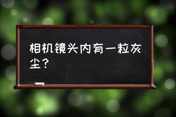 镜头有灰尘正常吗 相机镜头内有一粒灰尘？