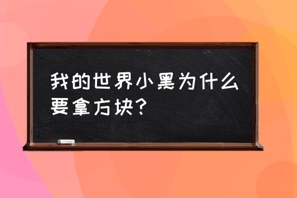 我的世界小黑在说什么 我的世界小黑为什么要拿方块？