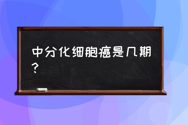 中分化肺鳞癌分几期 中分化细胞癌是几期？