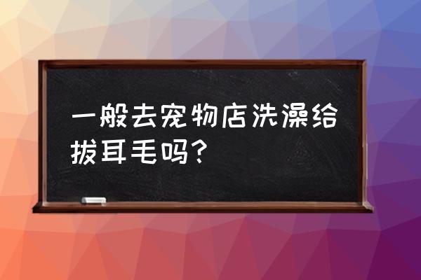 宠物店洗澡流会给狗狗剪指甲吗 一般去宠物店洗澡给拔耳毛吗？