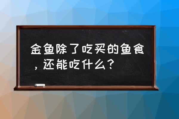 小金鱼除了吃饲料还会吃什么 金鱼除了吃买的鱼食，还能吃什么？