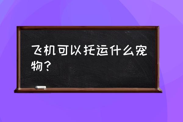 泸州机场能宠物托运吗 飞机可以托运什么宠物？