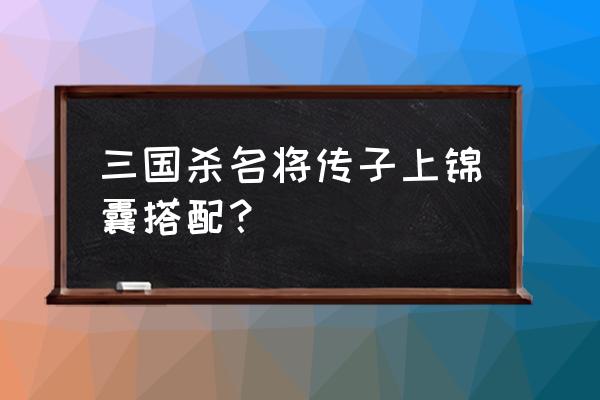 三国杀名将贾诩带什么锦囊 三国杀名将传子上锦囊搭配？