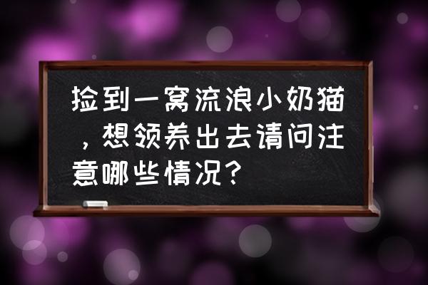 背上有爱心的小猫 捡到一窝流浪小奶猫，想领养出去请问注意哪些情况？