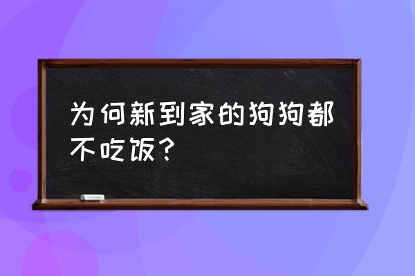 幼犬到家七天还是不吃 为何新到家的狗狗都不吃饭？