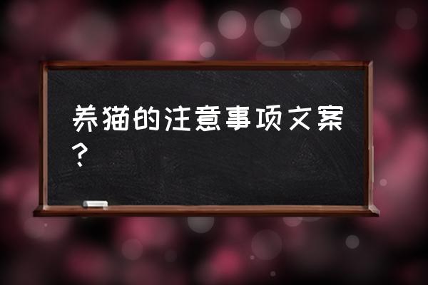 养猫要注意什么 养猫的注意事项文案？