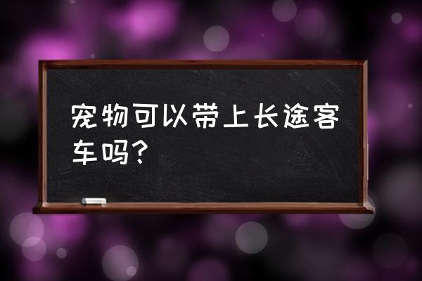 长途旅行宠物怎么处理好 宠物可以带上长途客车吗？