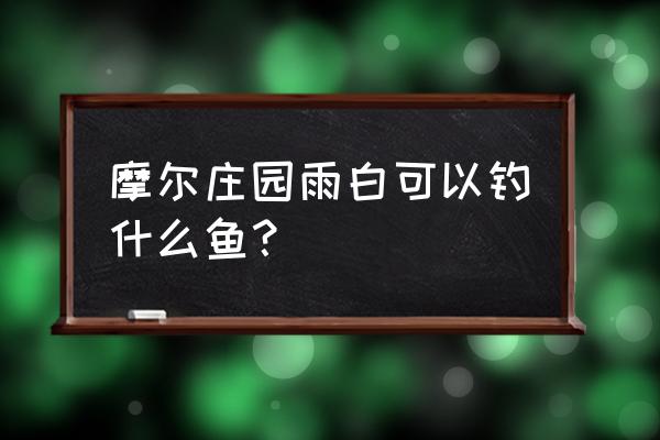 摩尔庄园新用户怎么获取金鱼 摩尔庄园雨白可以钓什么鱼？