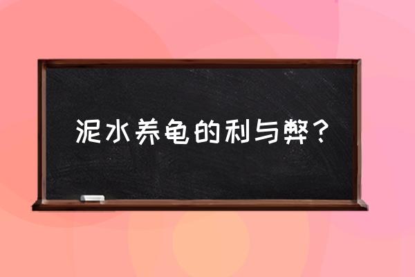 养龟有什么好处和坏处 泥水养龟的利与弊？