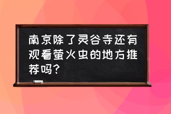 手机萤火虫的拍摄技巧 南京除了灵谷寺还有观看萤火虫的地方推荐吗？