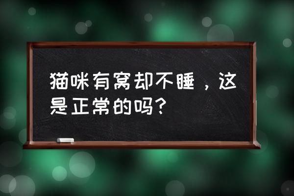 猫咪的房间空间很小怎么布置 猫咪有窝却不睡，这是正常的吗？