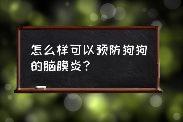 狗狗败血症能彻底治好吗 怎么样可以预防狗狗的脑膜炎？