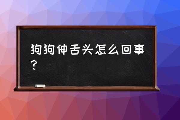 拉布拉多狗子老是张嘴咬怎么训练 狗狗伸舌头怎么回事？