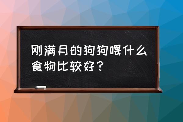 幼犬不可缺少的十种食物 刚满月的狗狗喂什么食物比较好？