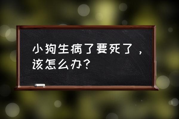 小狗感冒了怎么办好得快 小狗生病了要死了，该怎么办？