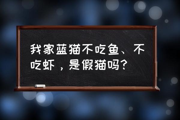 三种人不宜养猫6个月猫不吃不喝 我家蓝猫不吃鱼、不吃虾，是假猫吗？