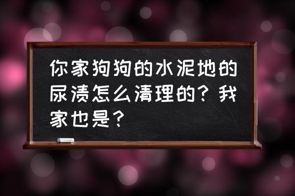 狗狗牙结石脱落小妙招苏打粉 你家狗狗的水泥地的尿渍怎么清理的？我家也是？