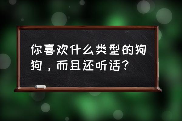 怎么样挑选一个听话的狗 你喜欢什么类型的狗狗，而且还听话？