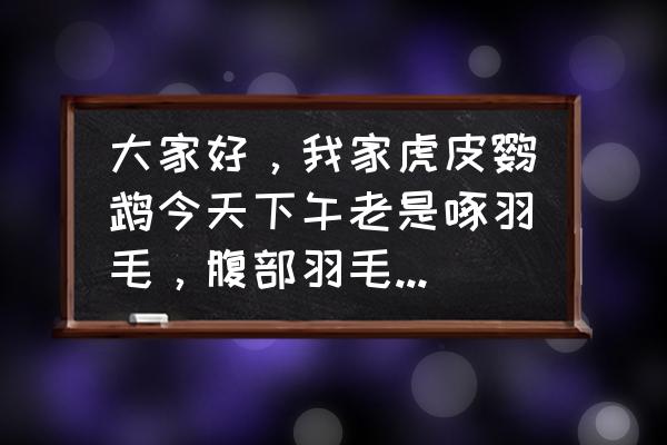 虎皮鹦鹉梳理羽毛什么意思 大家好，我家虎皮鹦鹉今天下午老是啄羽毛，腹部羽毛全部掉光了，这是怎么回事！是不是生病了，第一次养？