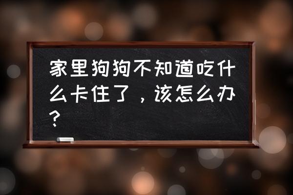 狗狗必备的十种食物 家里狗狗不知道吃什么卡住了，该怎么办？