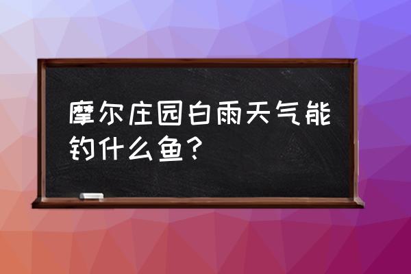 摩尔庄园手游怎么钓到河童 摩尔庄园白雨天气能钓什么鱼？