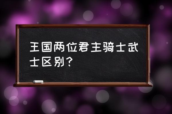 宝剑骑士代表什么意思 王国两位君主骑士武士区别？