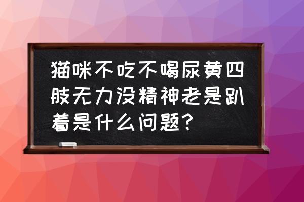 猫咪不吃东西但精神好怎么回事 猫咪不吃不喝尿黄四肢无力没精神老是趴着是什么问题？