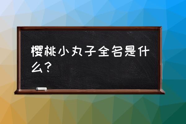 樱桃小丸子象征着什么 樱桃小丸子全名是什么？