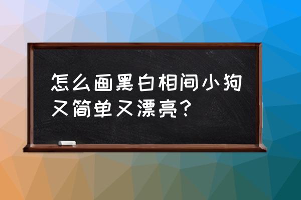 怎么画边境牧羊犬漂亮 怎么画黑白相间小狗又简单又漂亮？