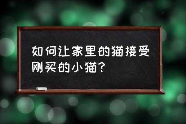 刚出生的宝宝如何与家里的猫相处 如何让家里的猫接受刚买的小猫？