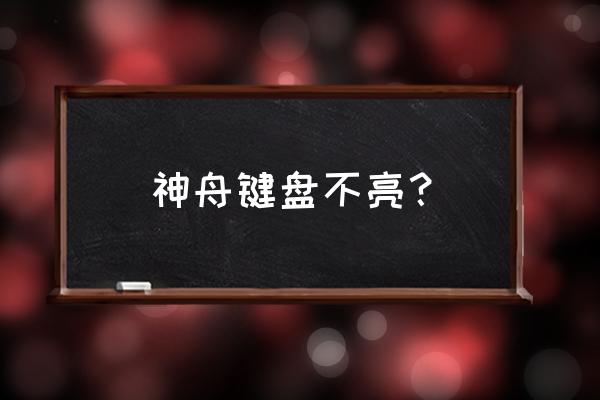 怎么让神舟战神的键盘灯闪动 神舟键盘不亮？