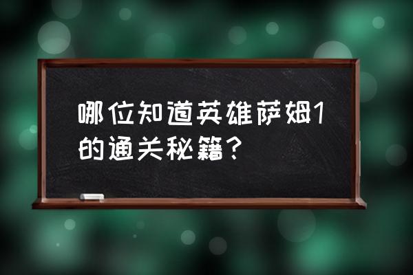 英雄萨姆2秘籍怎么用 哪位知道英雄萨姆1的通关秘籍？