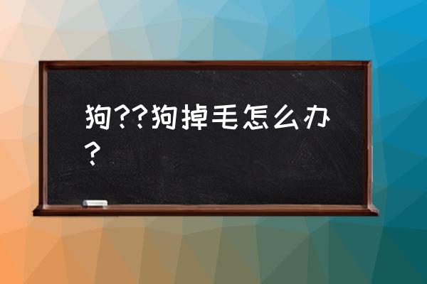 狗狗掉毛怎么去除最快方法 狗??狗掉毛怎么办？