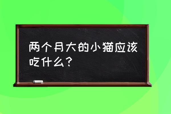 1-2个月幼猫怎么喂养 两个月大的小猫应该吃什么？