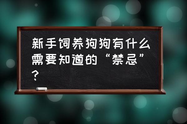 怎样选择一条适合自己的狗 新手饲养狗狗有什么需要知道的“禁忌”？