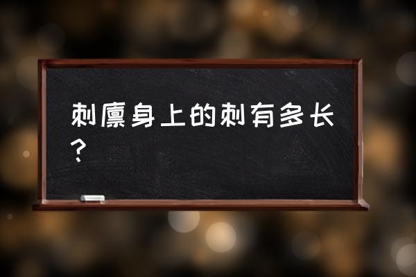 刺猬的生长顺序图 刺猬身上的刺有多长？