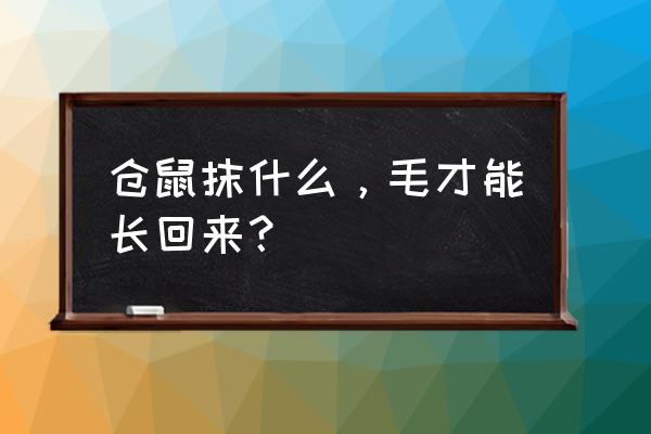 仓鼠吃什么才可以让毛发变得光泽 仓鼠抹什么，毛才能长回来？